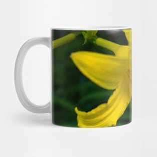 Day lilies in bloom Mug